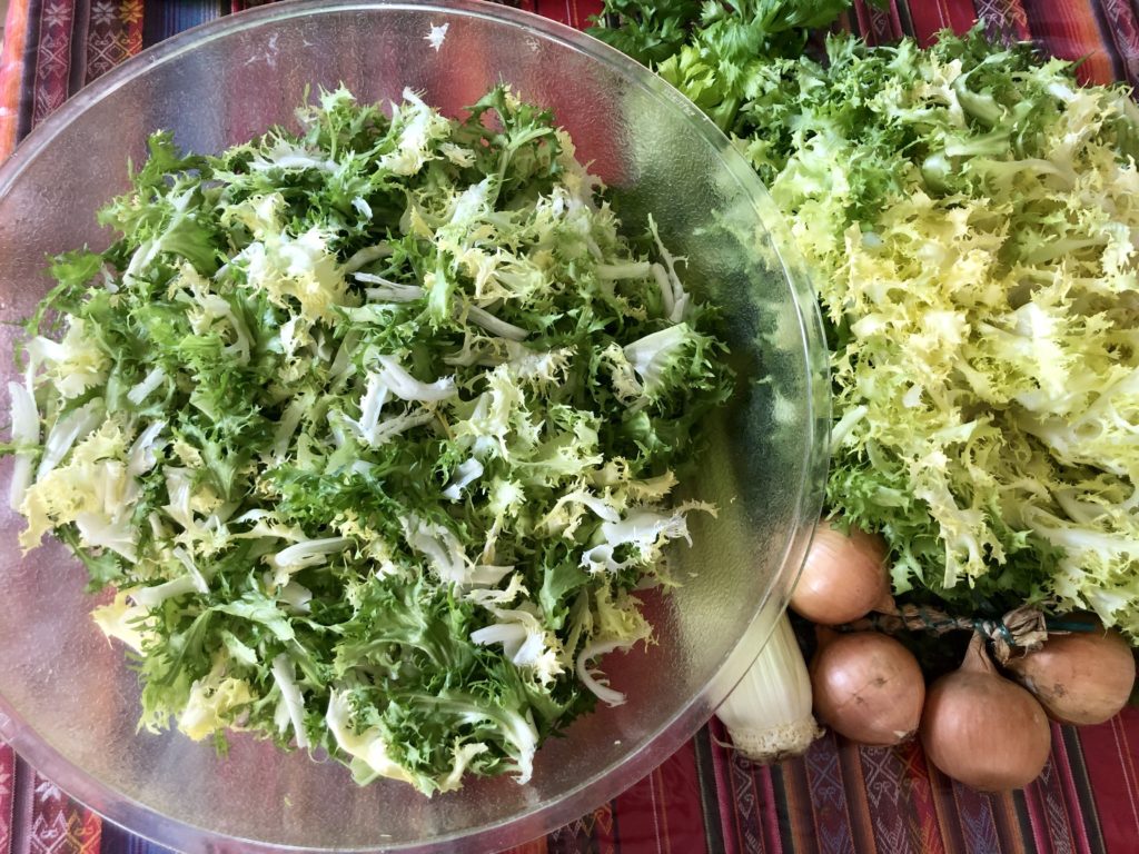 エンダイブを使ったサラダフリゼ Salade Frisee のレシピと美味しいサラダを作るコツ 日々収穫