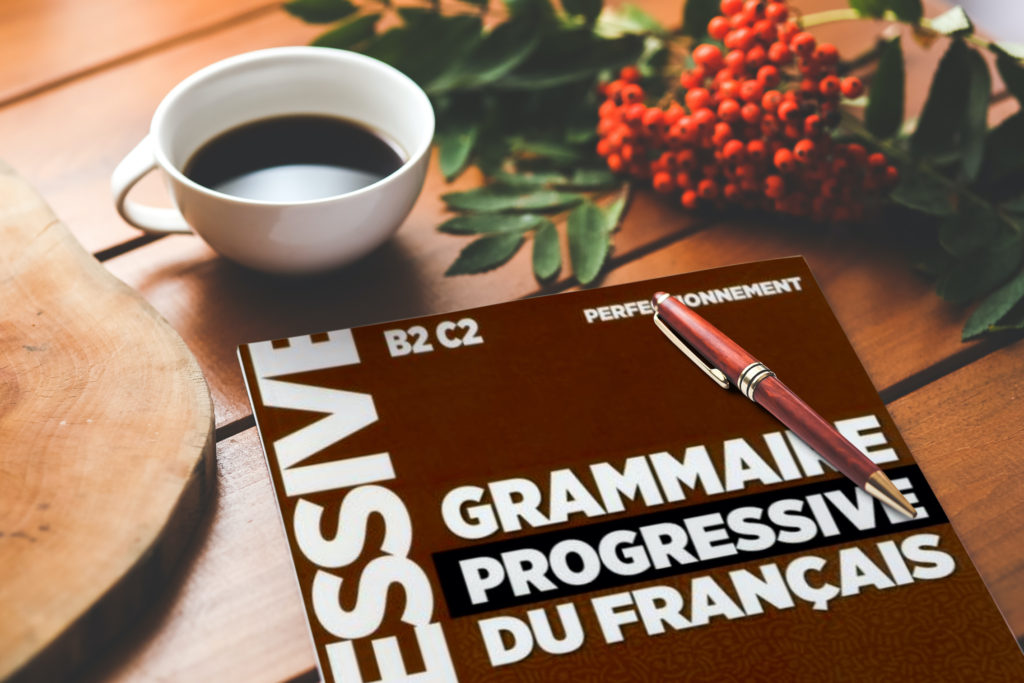 フランス語文法書 Grammaire Progressive du Français 全シリーズ 使っ 