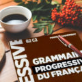 Rich results on Google's SERP when searching for 'grammaire progressive du francais', 'フランス語文法書',