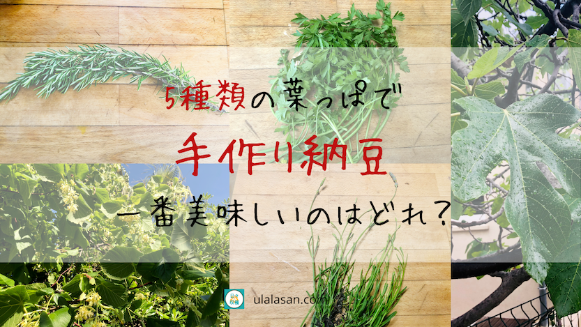 5種類の葉っぱで試した手作り納豆。一番美味しいのはどれ？